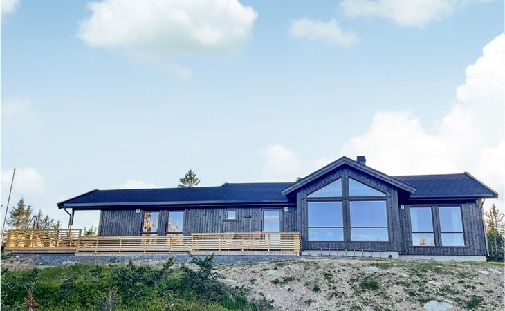 4 bedroom beautiful home in Sjusjøen 1