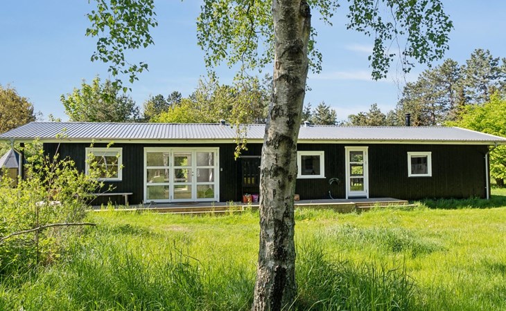 "Iliane" - 450m from the sea 1