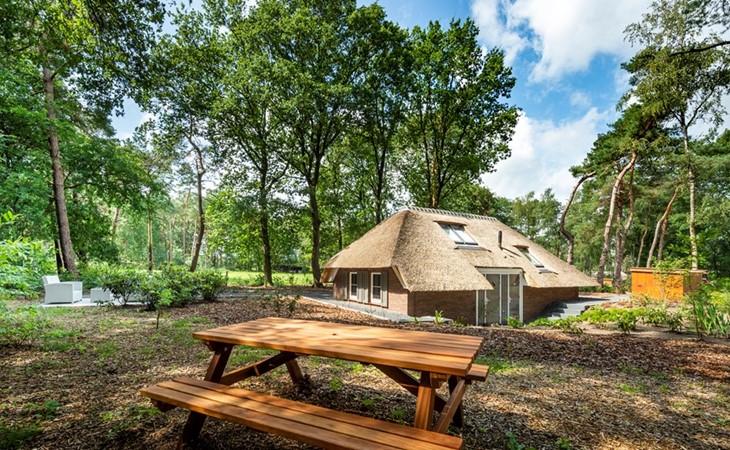 Sprielderbosch 32 Op Veluws vakantiepark met luxe en privacy 1