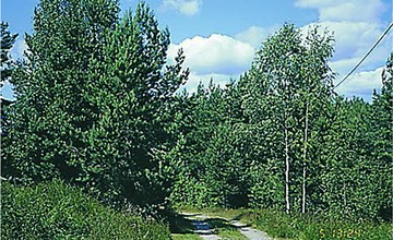 Lovely home in Kristdala with sauna 2