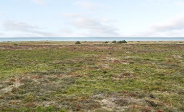 „Matta“ – 800 m vom Meer entfernt in Nordostjütland 3