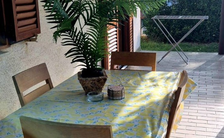 Appartement in Privlaka mit Terrasse - TA Leut Agency 1