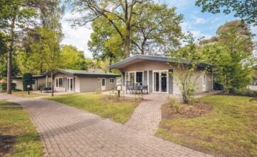 Bungalow Chalet+ | 2 - 4 people 3