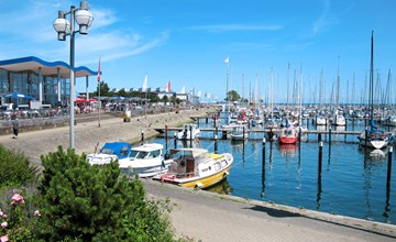 Spitzdachferienhaus mit Schwedenofen und Garten 3