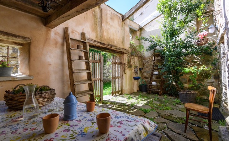 Pet friendly apartment 1