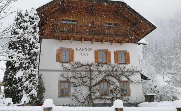 Waldblick in Steinfeld 1