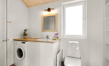 "Mara" -  from the sea in Western Jutland 2