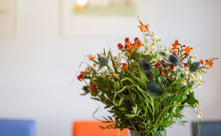 Gemütliches Ferienhaus in Hasenfeld mit Großem Garten 1