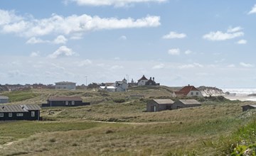 "Abbie" - 10m from the sea in NW Jutland 3