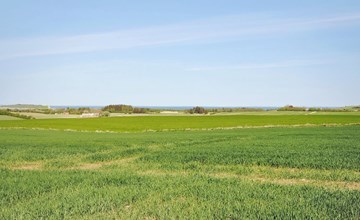 „Alois“ – 1 km bis zur Bucht im Lim Fjord 3