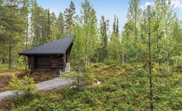 Daylight 8 Lapland gold 2