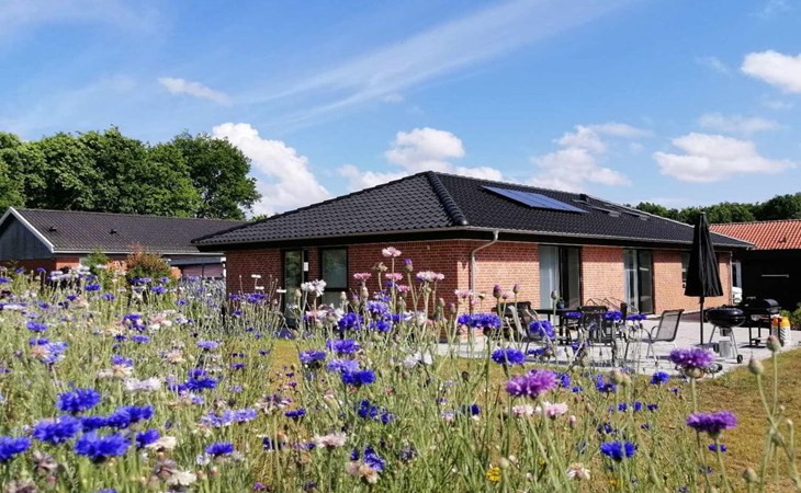 „Helmi“ – 1 km vom Meer entfernt in Bornholm 1