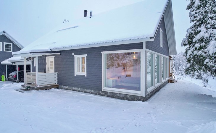 Große Cranberry b 1