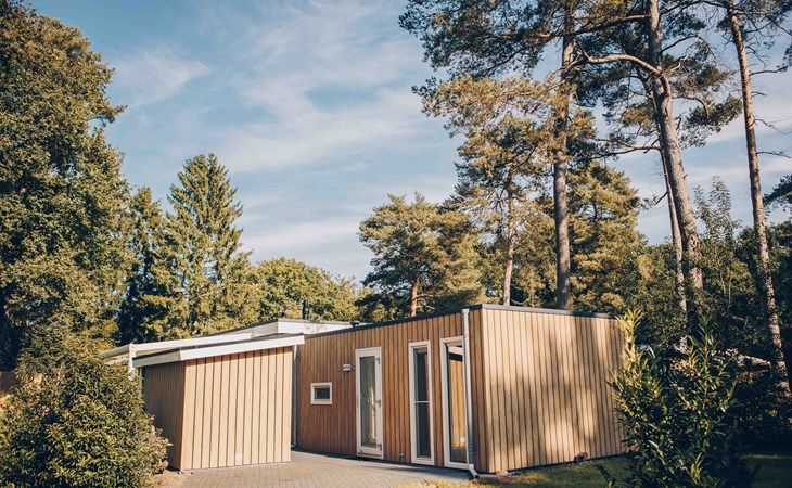Boterbloem Wellness Chalet | 4 Personen 1