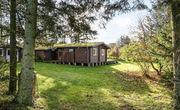 "Artur" - 1,5 km van de zee in Noordwest-Jutland 2