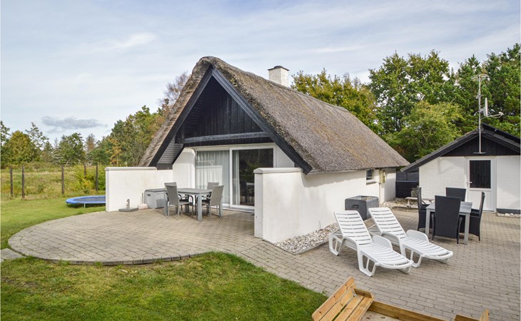 3 bedroom stunning home in Blåvand 1