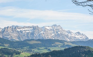 Panoramablick 2