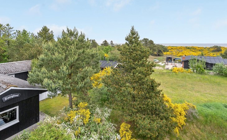 "Jaskirt" - 125 meter van de zee in NO Jutland 1