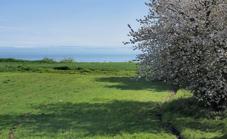 "Ady" - 150 meter van de zee in Zuidoost-Jutland 1