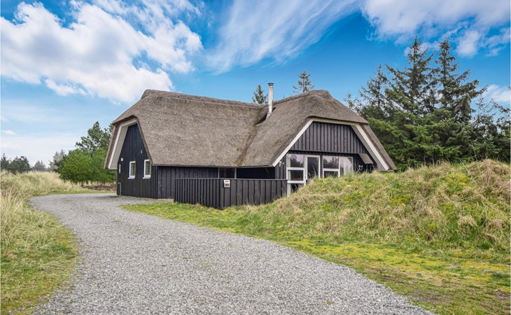 4 bedroom gorgeous home in Blåvand 1