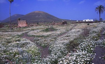 Castillo Lanzarote Villa Winni 2