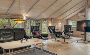 "Vivan" - 3.8km from the sea in Western Jutland 2