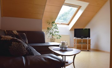 Cozy apartment in B. Peterstal-Griesbach 3