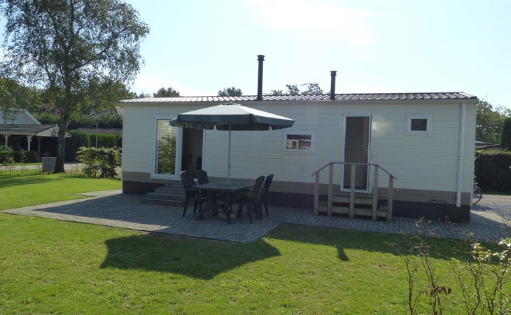 Goudvink 598 1