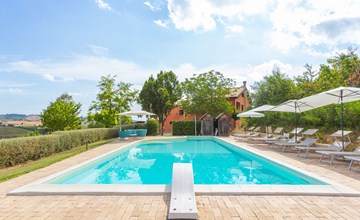 Die zwei Hainbuchen 2