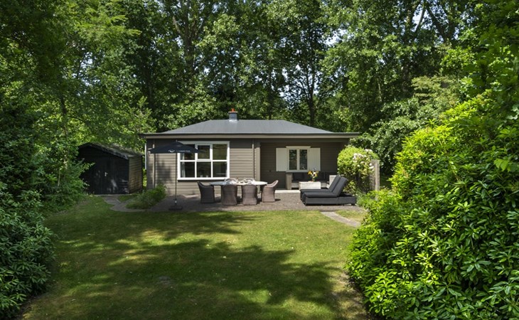 Populierenlaan 21 modern holiday chalet with epic garden 1