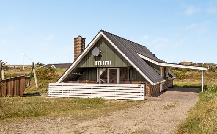 "Alleta" - 600m from the sea in Western Jutland 1