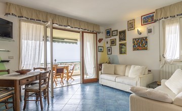 Von den Olivenbäumen 3