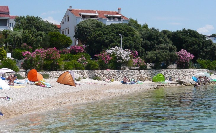 "Mia" mit Blick auf das Wasser 1