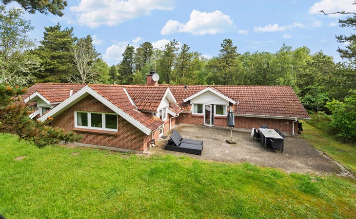 4 bedroom pet friendly home in Blåvand 1