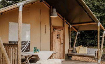 Safari tent | 6 persons 3