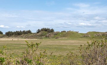 "Verene" - 400 meter van de zee in Noordwest-Jutland 3