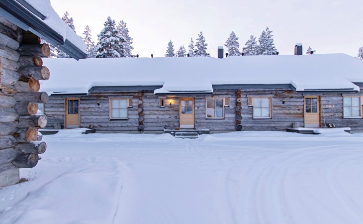 Teerentie / Spaß / Dasher 1