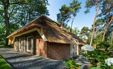 Sprielderbosch 25 Luxury holiday home on a holiday park in the Veluwe 2