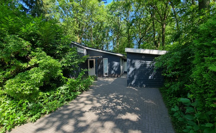 Dotterbloem Chalet | 6 persons 1