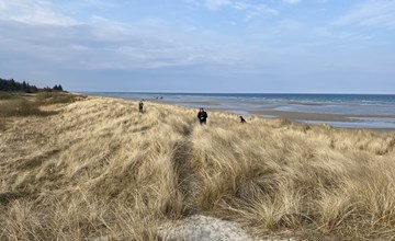 "Kajo" - 800m from the sea in NE Jutland 3