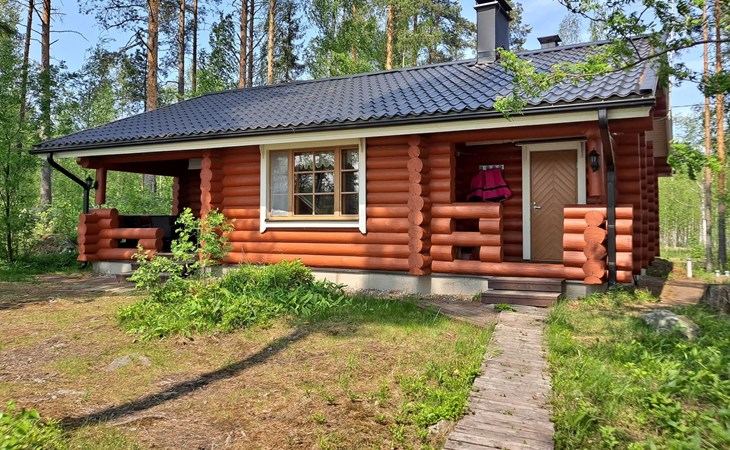 Haapaniemi, cjoe020 1