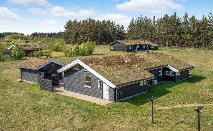 "Frerich" - 1,5 km van de zee in Noordwest-Jutland 1