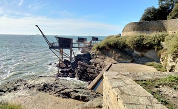 Die Welle ist im Überfluss vorhanden 3