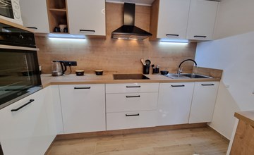 "Bruno" mit Blick auf das Wasser 3