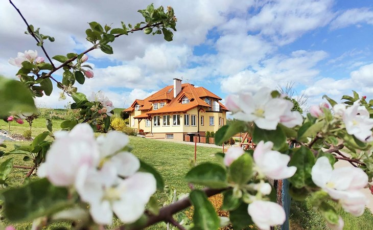 1 bedroom lovely apartment in Golubie 1