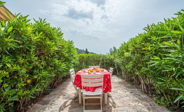 The Hamlet of the Sun 2