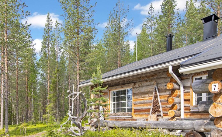 Hankipolku 7b / ukuli 1