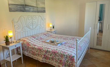 Asplanato (DOL161) 3