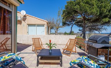 Little Cicada (SPI100) 2