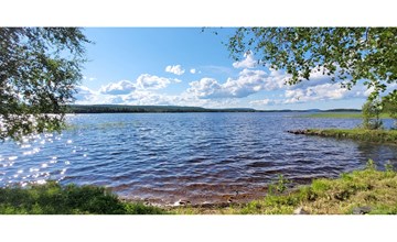 Koivulahti-rendieren 2